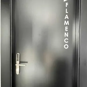 Flamenco Modern Y Luxury , Málaga España